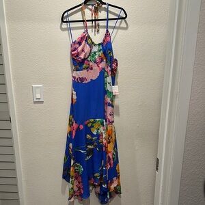 Taylor Dresses Blue and Pink Maxi Dress
